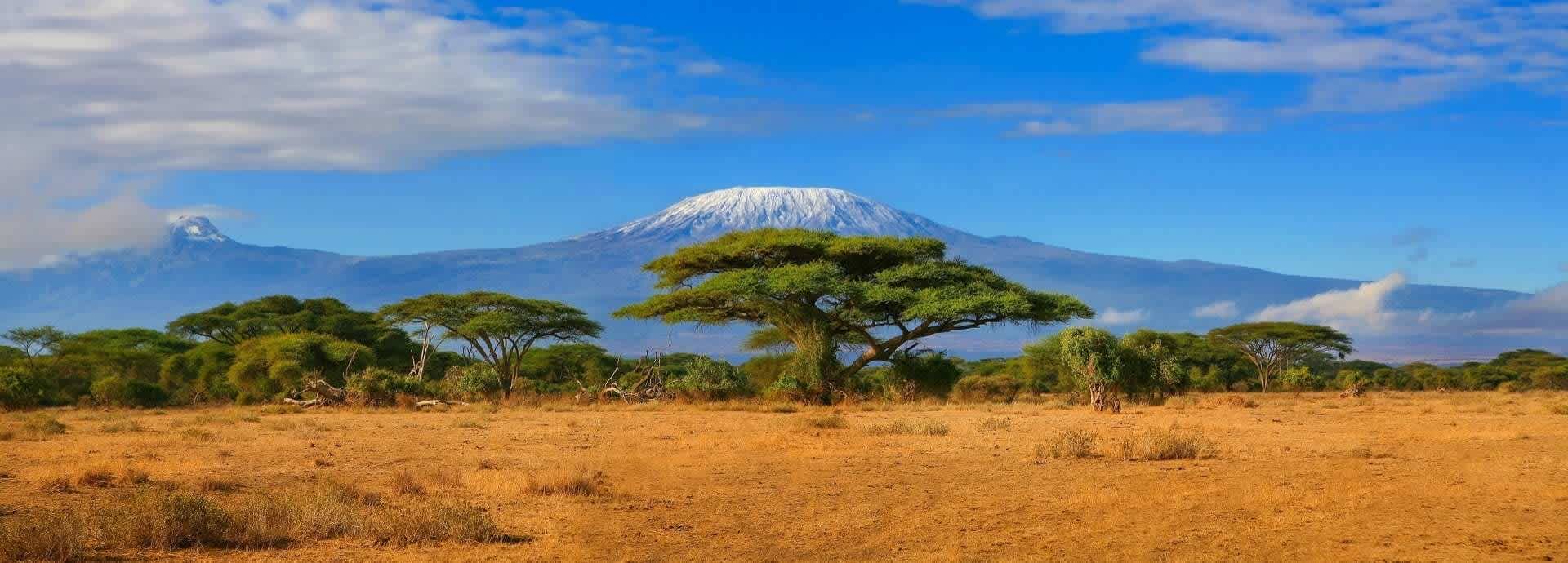 Assurance voyage pour la Tanzanie