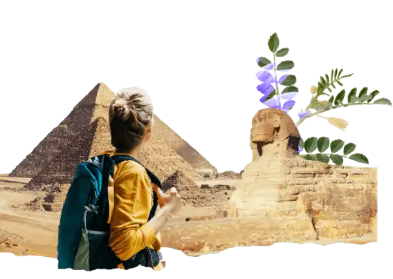 Saviez-vous qu'en Égypte ? Saviez-vous qu'en Égypte ?