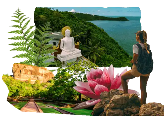 Assurance voyage pour le Sri Lanka Assurance voyage pour le Sri Lanka
