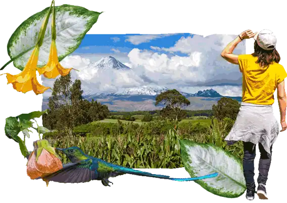 Sabías que en Ecuador Sabías que en Ecuador
